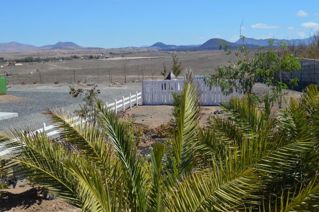 Tuineje Estudio Rural La Rosa Herrera מראה חיצוני תמונה
